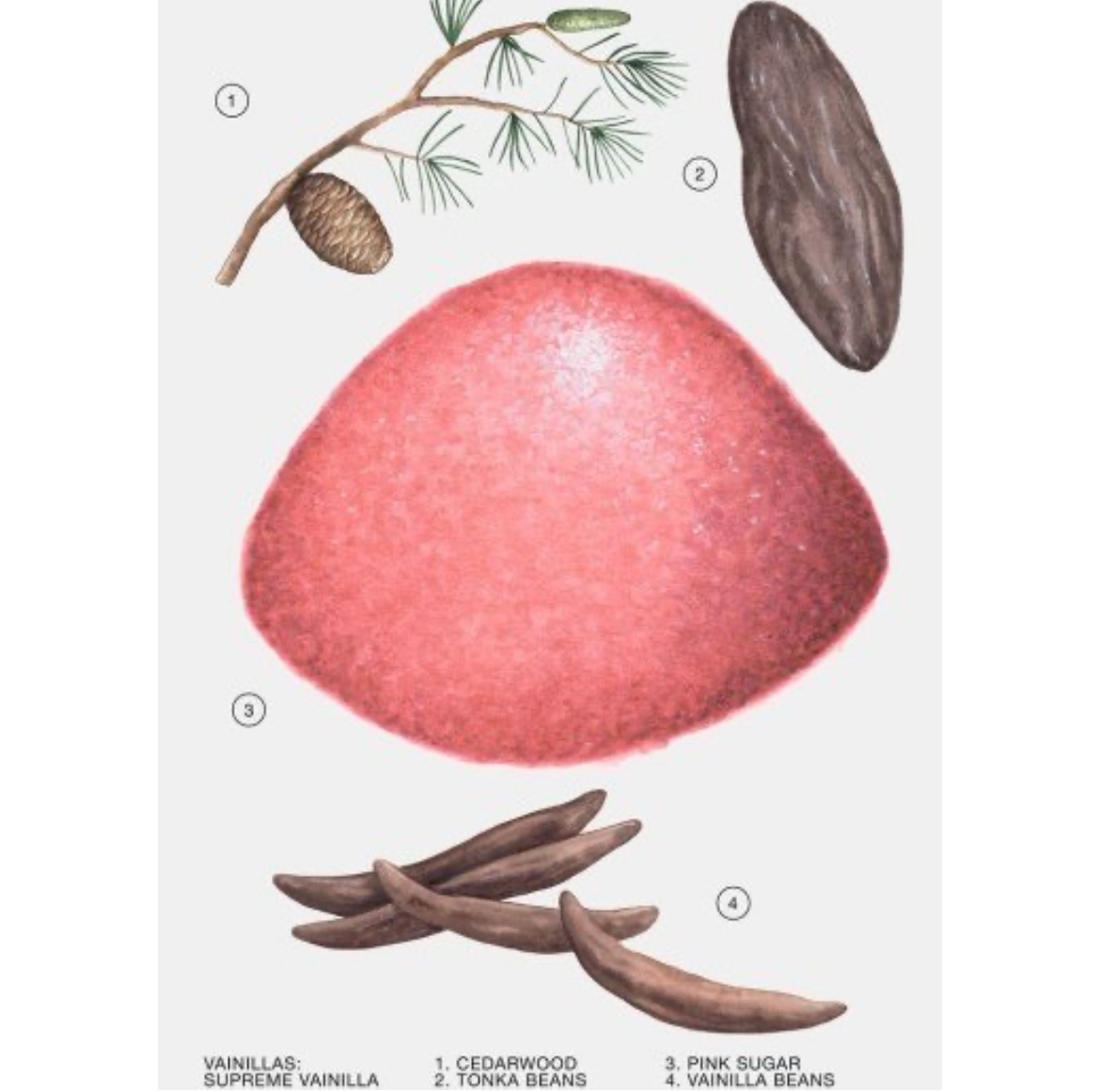 - پک هدیه عطر زنانه زارا Zara Pack Gift - پک هدیه عطر زنانه زارا zara pack gift - image 4