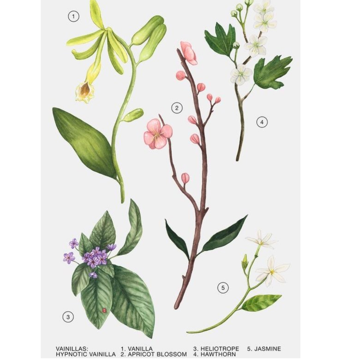 - پک هدیه عطر زنانه زارا Zara Pack Gift - پک هدیه عطر زنانه زارا zara pack gift - image 3