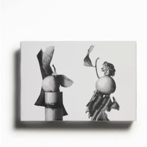 عطر مردانه زارا وایبرنت لدر و اود وایبرنت لدر