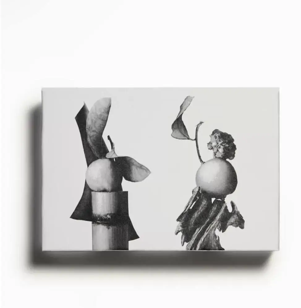 عطر مردانه زارا وایبرنت لدر و اود وایبرنت لدر